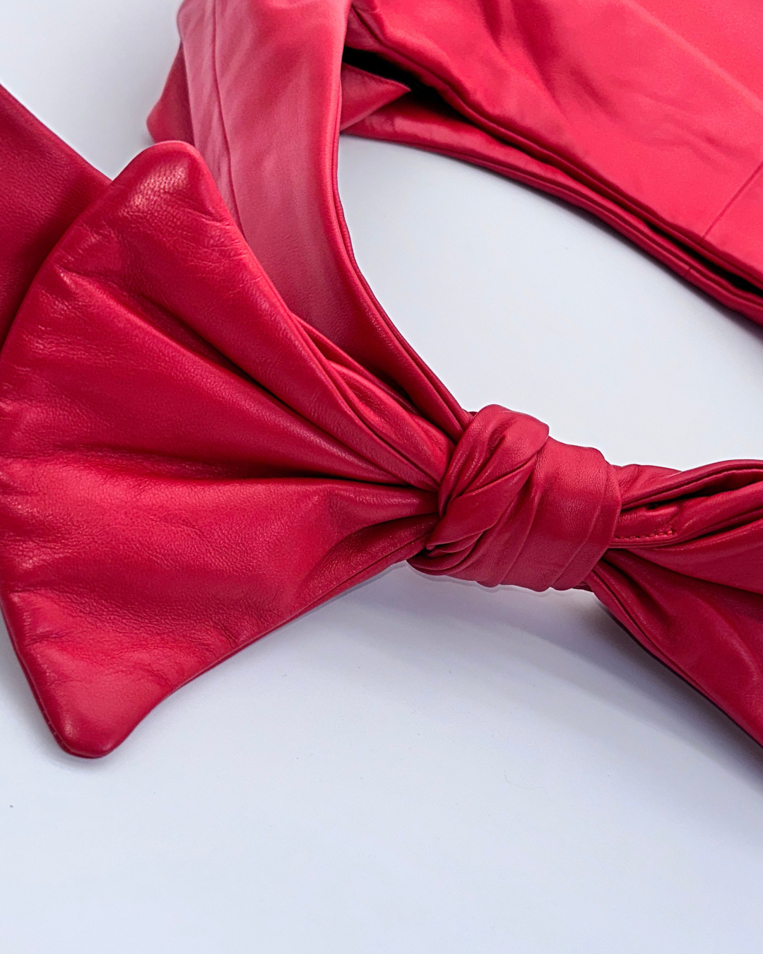 Red Oversized Bow Hobo